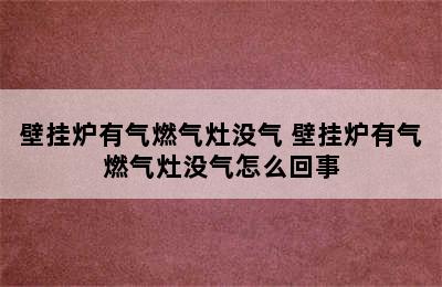 壁挂炉有气燃气灶没气 壁挂炉有气燃气灶没气怎么回事